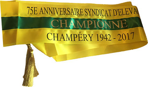 ECHARPE POUR CHEVAL/VACHE